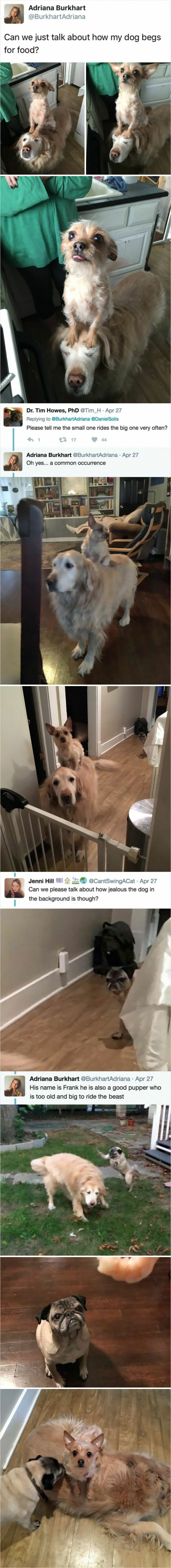 42. These two best friend have one peculiar story