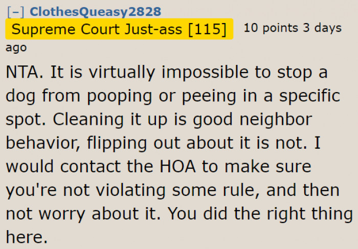 People applauded the OP for cleaning up her dog's poop.