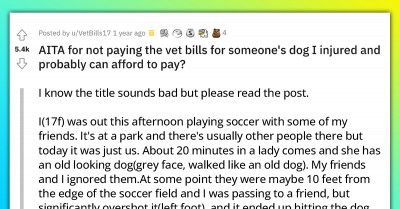 Redditor Questions If It's Right To Refuse To Pay Vet Bills For A Dog Who Got Unintentionally Injured