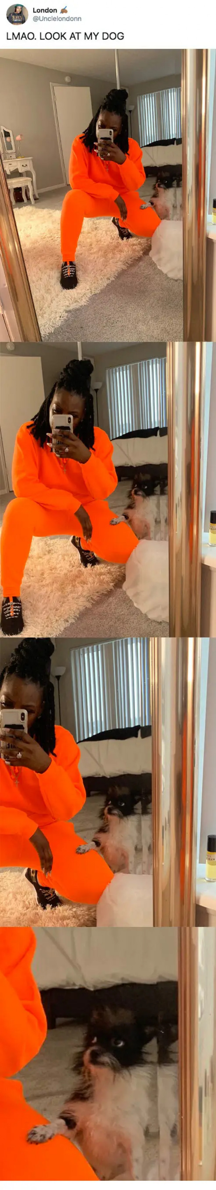 3. Here you can see this lil' pupperino looking up at his mama like, "Hey, can you stop that and come get me some food?"