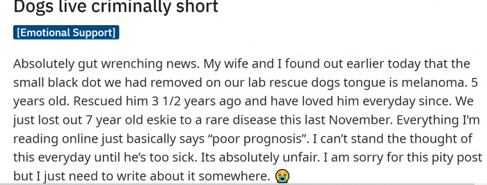 OP shared his feelings: