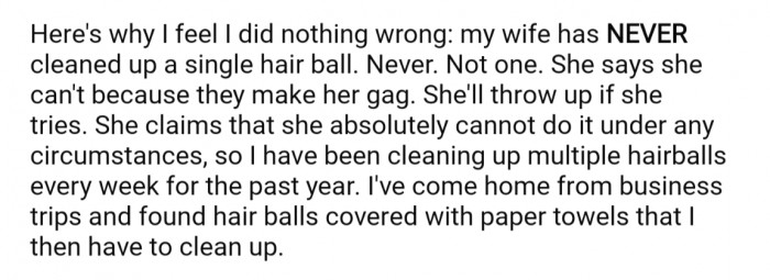 OP offers his stance on why he wouldn't be in the wrong: He's the sole hairball cleaner-upper