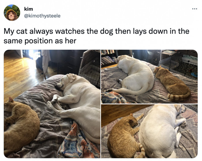 6. What love language is this?