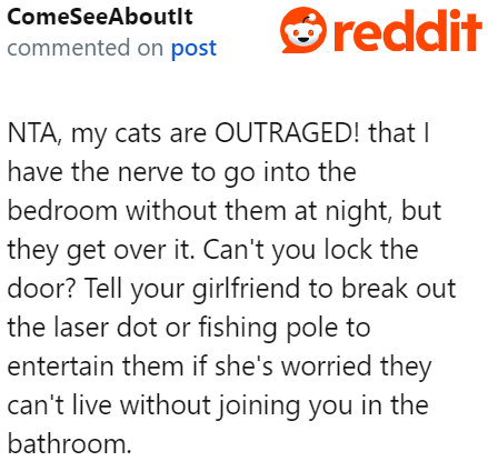 Can't the girlfriend just entertain the cats while he's using the bathroom?