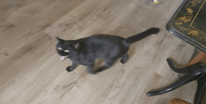 Not happy. Not happy at all...