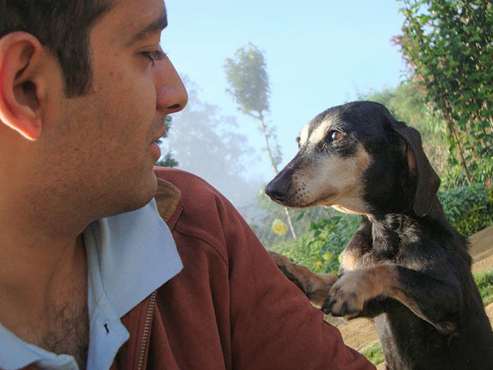 "My Dachshund Pawing Me To Share A Moment"