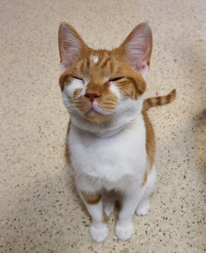 Don't miss your chance