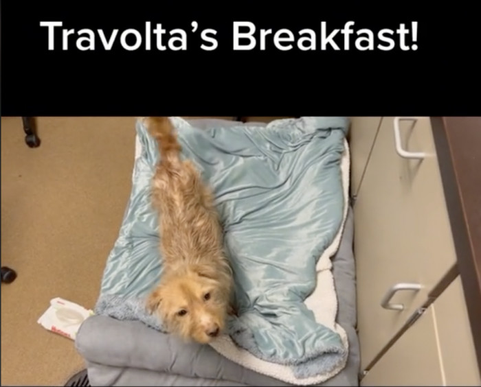 Travolta was treated to breakfast in bed