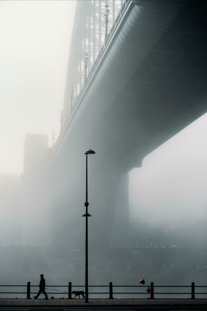 9. ITAP Of A Man And His Dog In The Fog