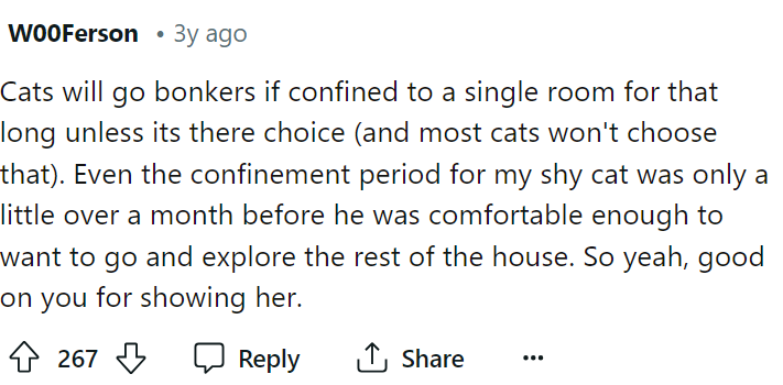 People immediately came to the comments and informed her that cats could literally go crazy if they are confined.