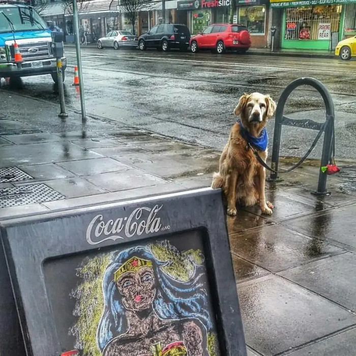 Many of the pictures are of really high quality