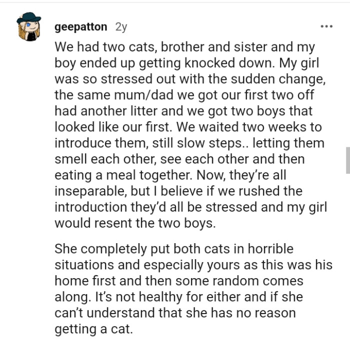 This Redditor Has a Short and Similar Story to Share