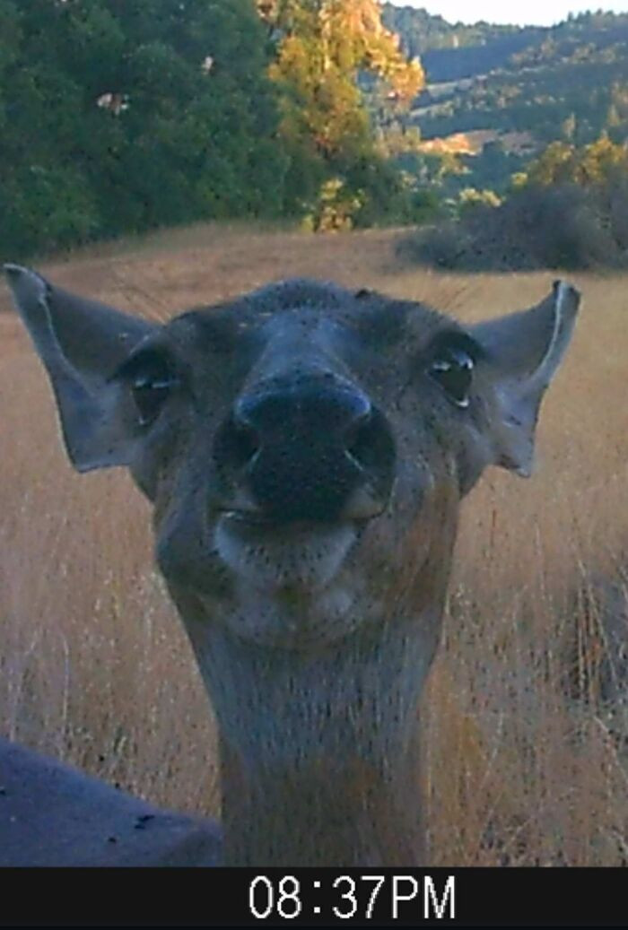 13. She's Not Very Photogenic