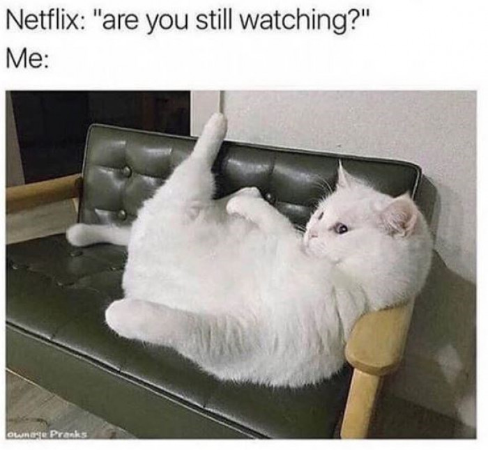 1. "I wonder why my back hurts."