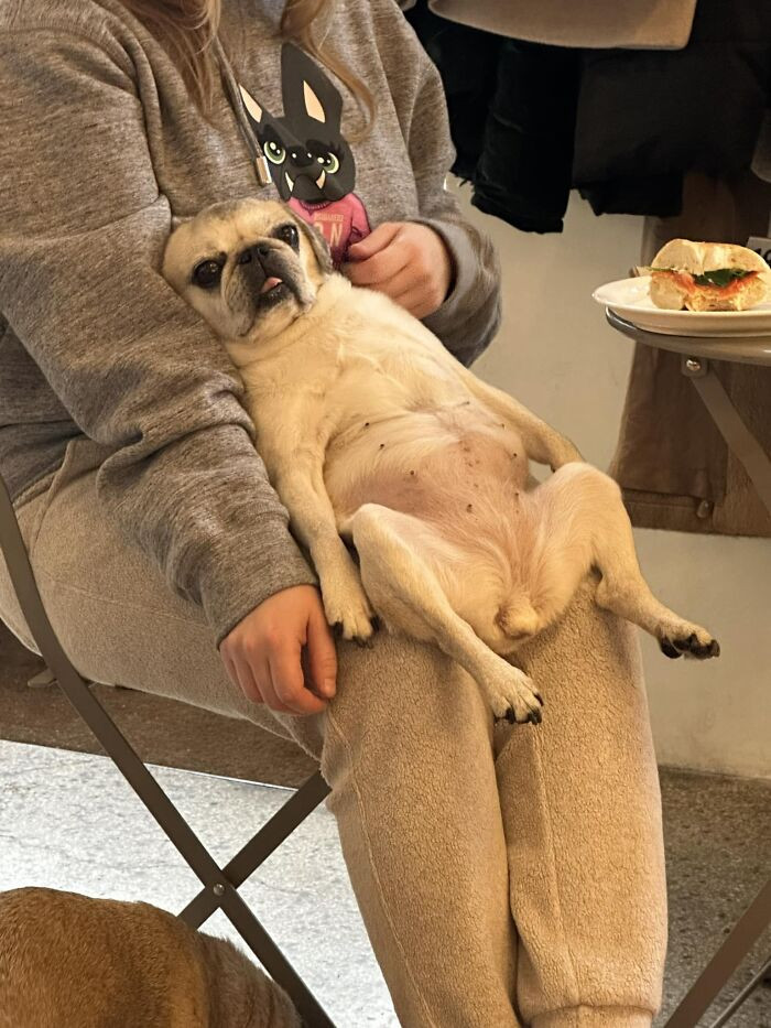 26. Cute Bread Loaf Spotted In A Bagel Shop Today