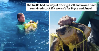 Guys Spot Unusual “Balloon” While Jet-Skiing That Ended Up Being A Poor Sea Creature In Distress