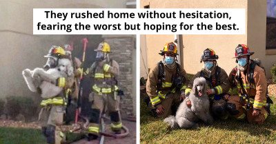 Clever Dog Alerts Owners To House Fire Using Doorbell Camera