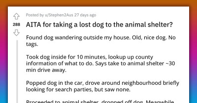Woman Gets Mad At Redditor For Taking Her Lost Dog To The Shelter, He Wonders If He Made A Mistake There