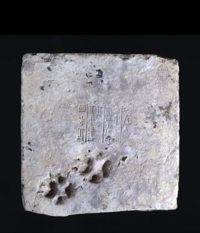 18. "A brick from the Ziggurat at Ur with a cuneiform inscription and the footprints of a dog who walked across the brick before it had hardened. Excavated by Sir Leonard Woolley."