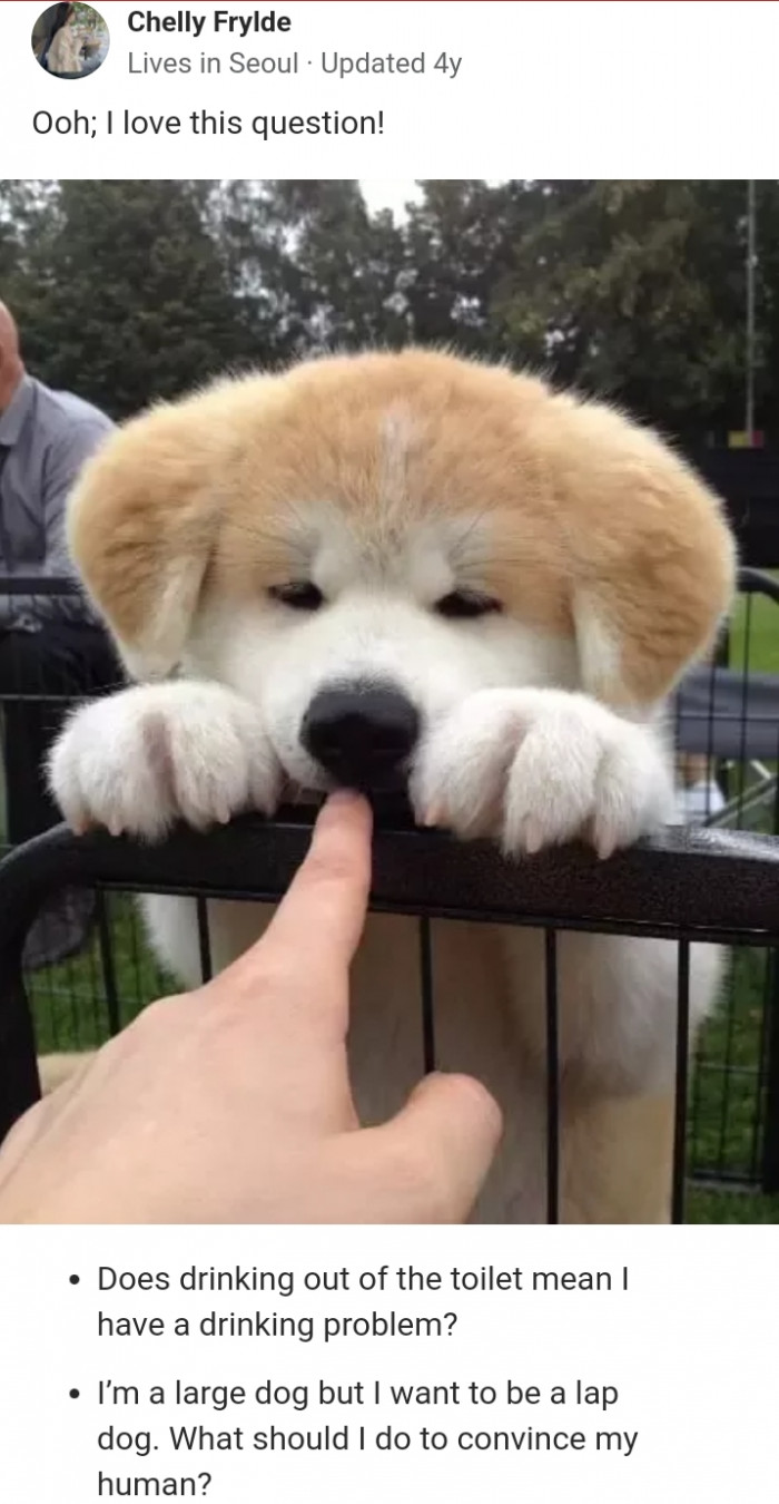 9. Loving the questions