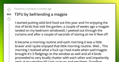 Redditor Waves The Mornings In Bed Goodbye As A Bird They Befriended Returns With Its Fledglings And Pecks At Their Window Till They Wake