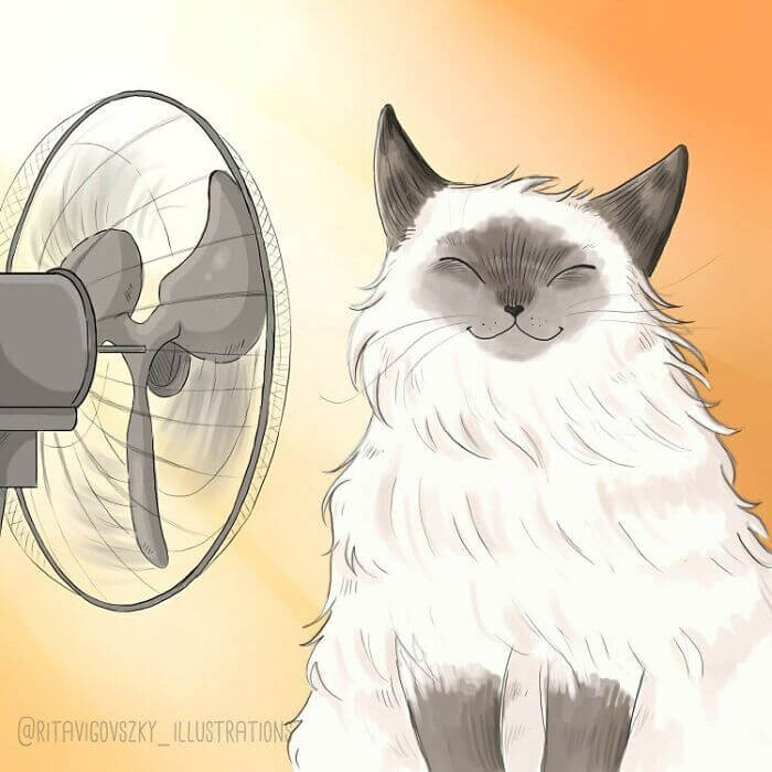 7. Ah! The wind blowing in my hair!