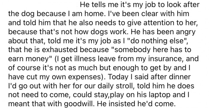 The Redditor's boyfriend says that she should do all the work regarding the dog because she does "nothing else."