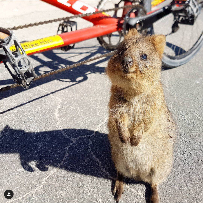 Here to wish you safe travels and hope you come back