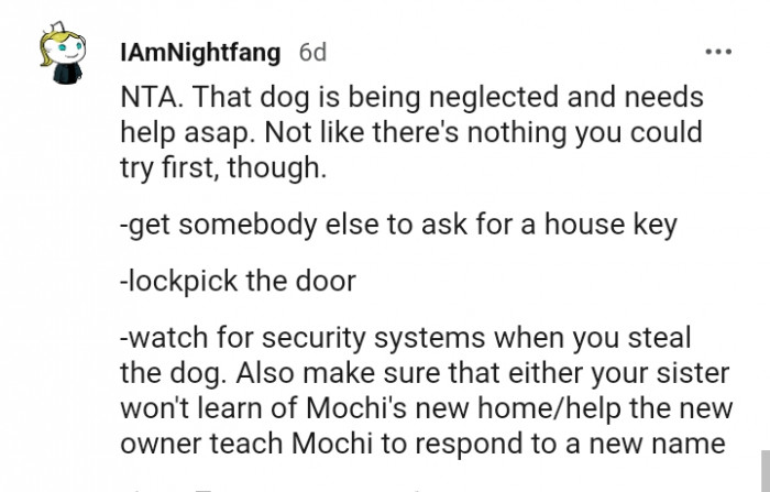 This dog is being neglected and needs help