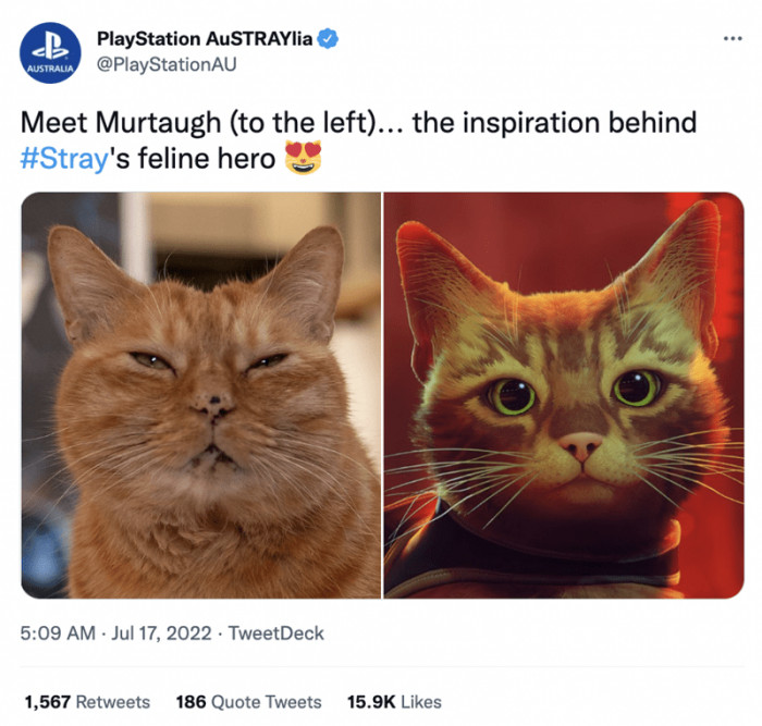 8. Heroes don’t just wear capes; they have fur too.