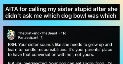 Redditor Goes Off On Older Sister After She Filled Up Their Dog's Food Bowl With Water