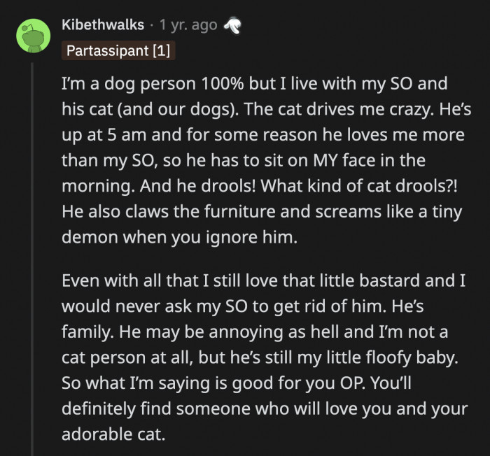 It's possible to live around cats and not be a jerk to them even when you don't like them