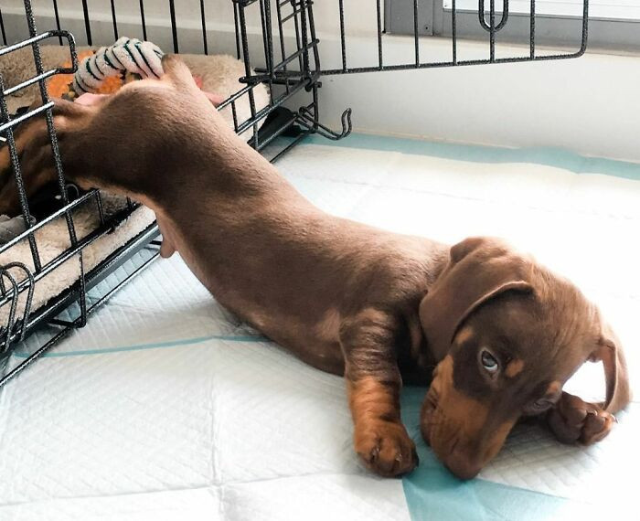 "I’ve Had A Long Day"