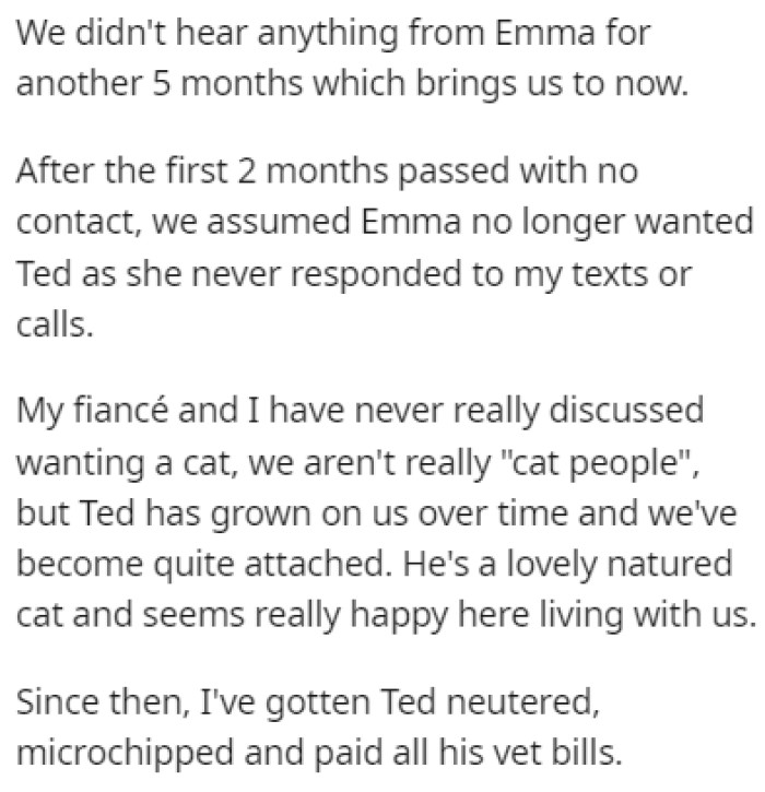 As Time Went On, OP and Her Fiancé Became Attached to Ted and They Saw Him as Their Cat