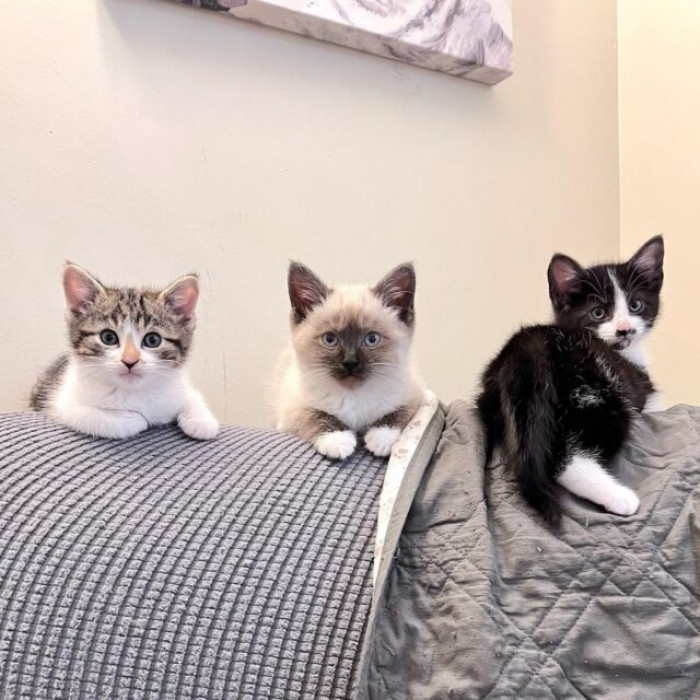 The beginning was very rough with all the spitting and hissing