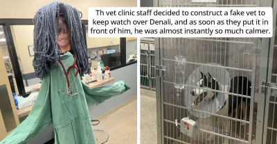 Vets Construct A "Fake Vet" So One Of Their Dog Patients Wouldn’t Feel So Alone In Intensive Care