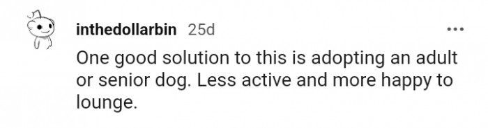 A good solution is to adopt a senior dog