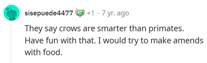 11. It's better to submit rather than suffer their wrath, we guess