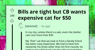 Choosing Beggar Will Not Pay Over $50 For High-Maintenance Cat, Says Her Bills Are Tight