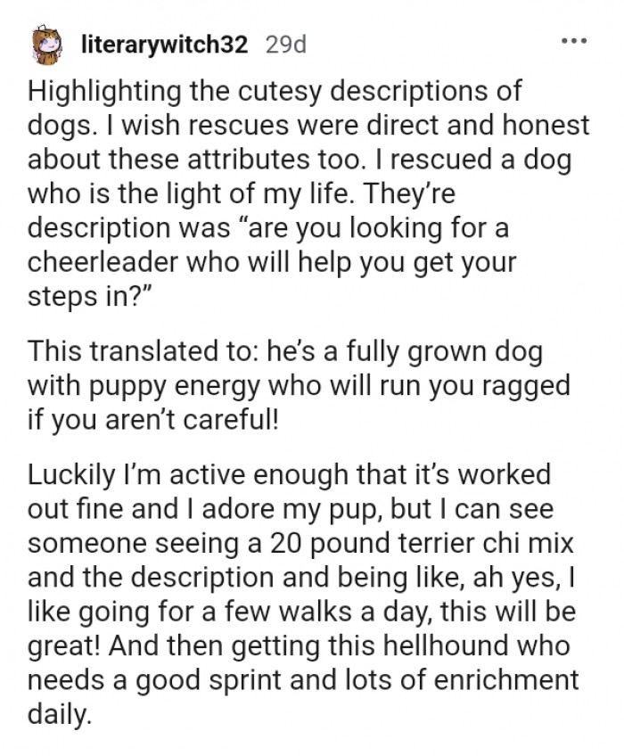 I rescued a dog who is the light of my life