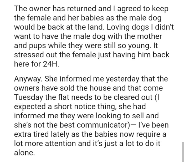 The OP didn’t want to have the male dog with the mother and pups while they were still so young