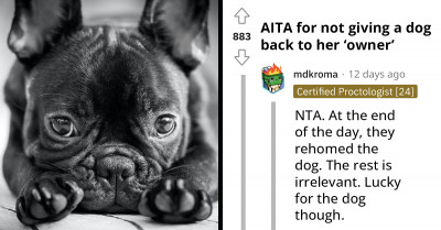 Redditor Is Applauded For Refusing To Return A Dog To Its "Owner" After She Was Rehomed In A Malnourished State