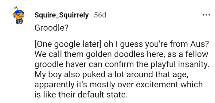 11. It is like their default state