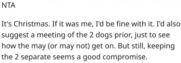 5. He should consider setting up a meeting between both dogs before the overnight stay.