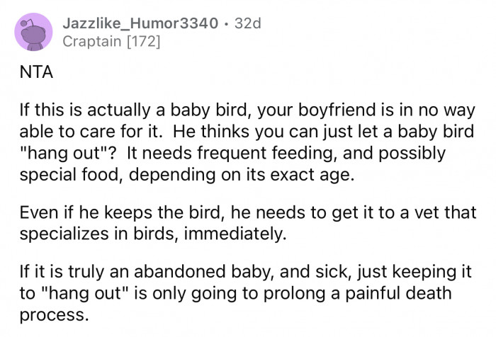 OP's boyfriend needs to take the bird to a vet as soon as possible.