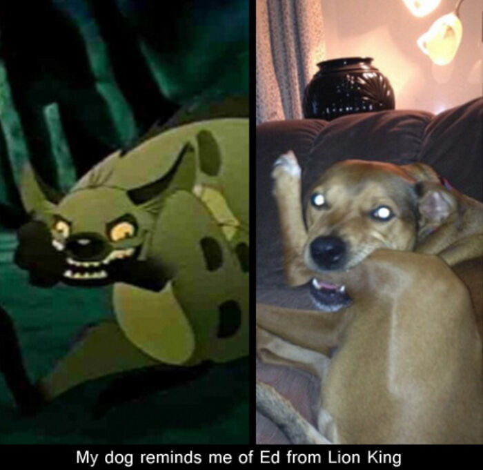 24. Spot the differences.