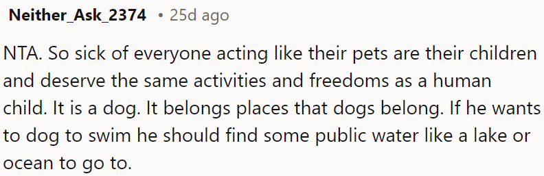 Dogs should stay in dog-friendly places. If the owner wants the dog to swim, find a lake or ocean.