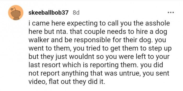 You Did Not Report Anything That Was Untrue