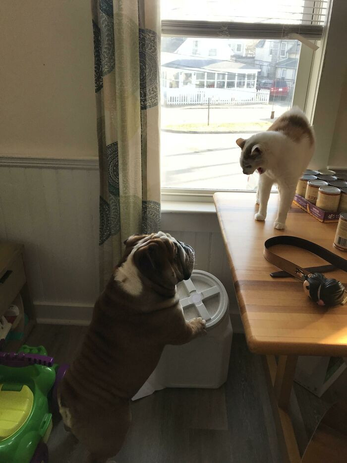 "My Two Coworkers Are Getting Into A Heated Discussion"