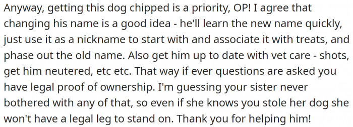 Getting the dog chipped is a priority